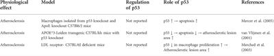 The role of p53 in the alternation of vascular functions